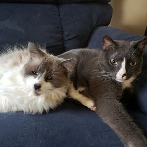 Meet your Posher, April